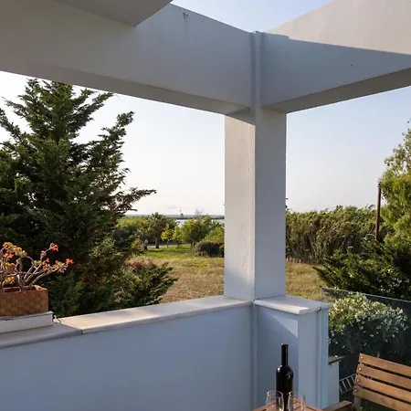 Seaview Aris With Private Pool By Lefkadastay Vila *